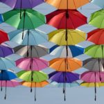 ポキッと折れるんですは強風や台風対策の雨傘!通販や販売店は?